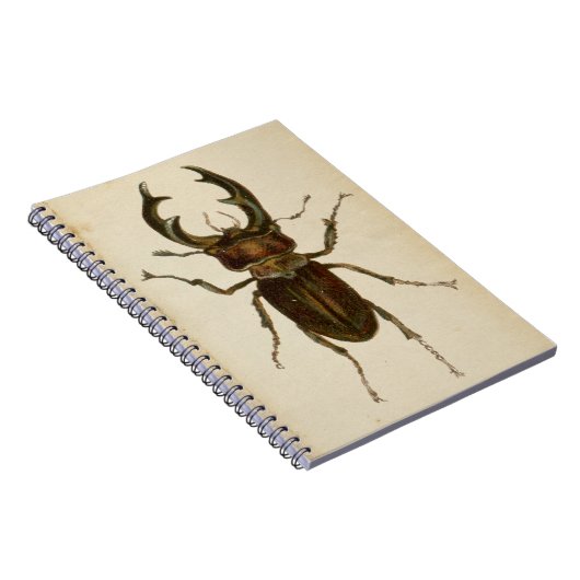 ヴィンテージクワガタ色イラストレーションメモ帳/ ノートブック (右側)