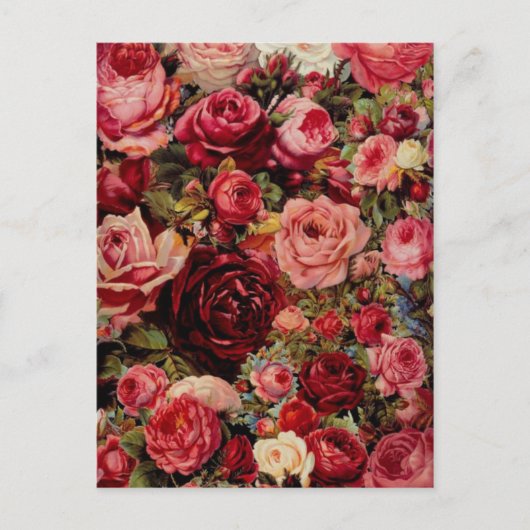 ヴィンテージグラフィック葉書 ポストカード (正面)