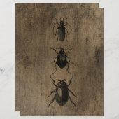 ヴィンテージグランジカブトムシ紙 (正面/裏面)