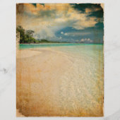 ヴィンテージグランジビーチスクラップブック紙 (正面)