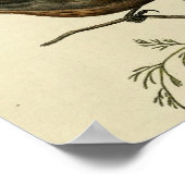 ヴィンテージグランド・ウォレン ポスター (角)