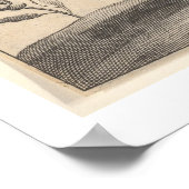 ヴィンテージグリフィンギリシャ神話ボタニー ポスター (角)