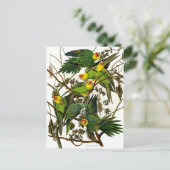 ヴィンテージグリーンインパケートパロット ポストカード (スタンド正面)