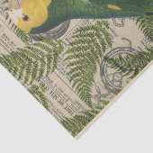 ヴィンテージグリーンオウム熱帯 薄葉紙 (詳細)