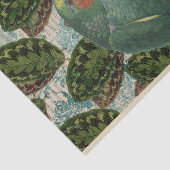 ヴィンテージグリーンオウム熱帯 薄葉紙 (詳細)