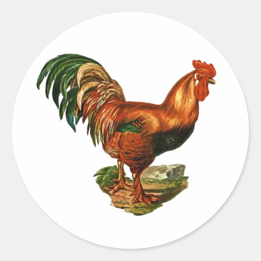 ヴィンテージグリーンテール羽毛オンドリ ラウンドシール (正面)