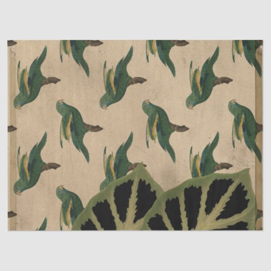 ヴィンテージグリーンバードとイエローバードの切り離し 薄葉紙 (正面)