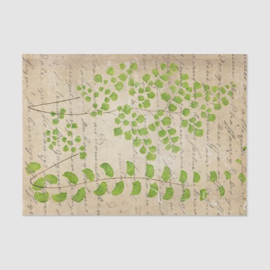 ヴィンテージグリーンフローラ分離 薄葉紙 (正面)