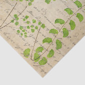 ヴィンテージグリーンフローラ分離 薄葉紙 (詳細)