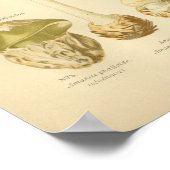 ヴィンテージグリーンマッシュルームアートプリント フランスの ポスター (角)