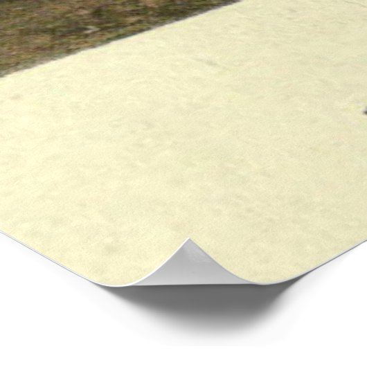 ヴィンテージグレーと白の短毛の猫絵画の ポスター (角)