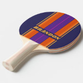 ヴィンテージグレープレインボーストライプボード名 卓球ラケット (正面アングル)