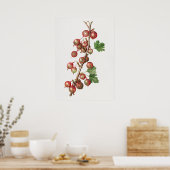 ヴィンテージグースベリーイラストレーション ポスター (キッチン)