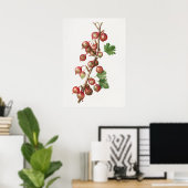 ヴィンテージグースベリーイラストレーション ポスター (ホームオフィス)