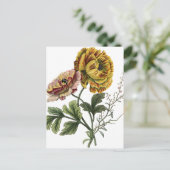 ヴィンテージケシの花 ポストカード (スタンド正面)