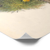 ヴィンテージケストレル《鳥》ハヤブサ鳥 ポスター (角)