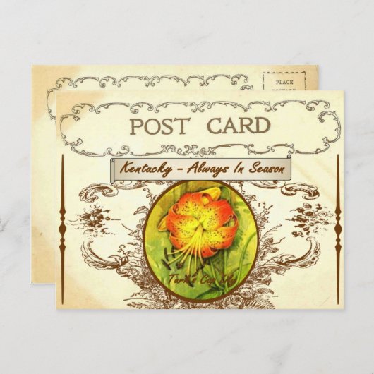 ヴィンテージケンタッキー州フラワーポストカード ポストカード (正面/裏面)