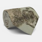 ヴィンテージケープコッドの地図(1885) ネクタイ (ロール)