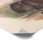 ヴィンテージコアライラストレーション ポスター (角)