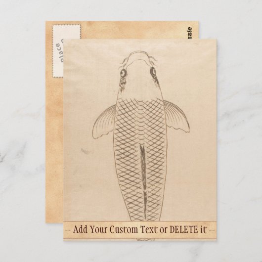 ヴィンテージコイ絵画カープの古い紙の巻物 ポストカード (正面/裏面)