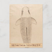 ヴィンテージコイ絵画カープの古い紙の巻物 ポストカード (正面)