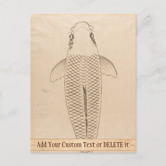 ヴィンテージコイ絵画カープの古い紙の巻物 ポストカード (正面)