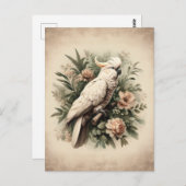 ヴィンテージコカトゥー絵画ボタニズ ポストカード (正面/裏面)