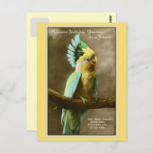 ヴィンテージコカトーの誕生日の写真 ポストカード (正面/裏面)