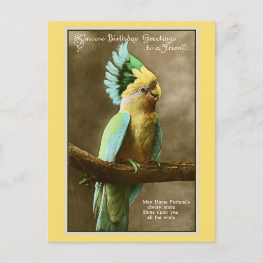 ヴィンテージコカトーの誕生日の写真 ポストカード (正面)