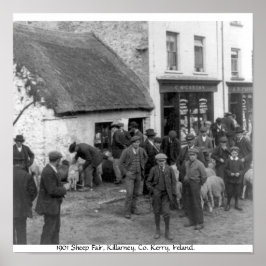 ヴィンテージコケリー・アイルランドキラーニー・ヒツフェア ポスター