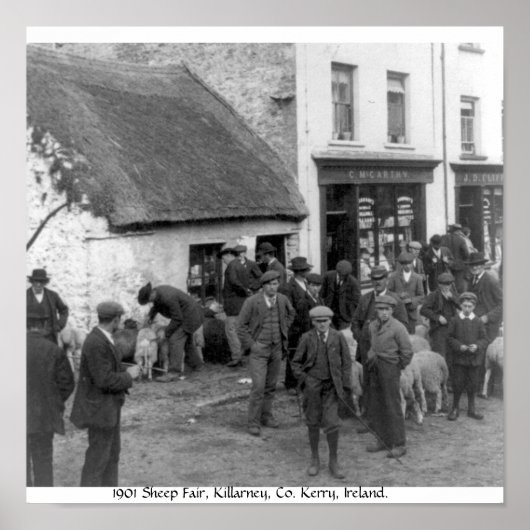 ヴィンテージコケリー・アイルランドキラーニー・ヒツフェア ポスター (正面)