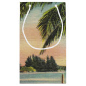 ヴィンテージココナッツパームズトロピカルブリーズサンセット スモールペーパーバッグ (裏面)