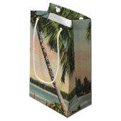 ヴィンテージココナッツパームズトロピカルブリーズサンセット スモールペーパーバッグ (正面アングル)