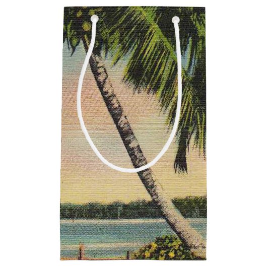 ヴィンテージココナッツパームズトロピカルブリーズサンセット スモールペーパーバッグ (正面)