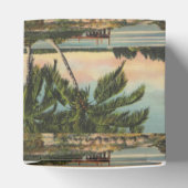 ヴィンテージココナッツパームズトロピカルブリーズサンセット フェイバーボックス (上部)