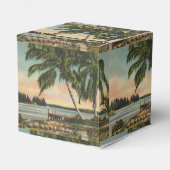 ヴィンテージココナッツパームズトロピカルブリーズサンセット フェイバーボックス (裏面サイド)