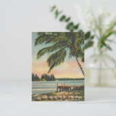 ヴィンテージココナッツパームズトロピカルブリーズサンセット ポストカード (スタンド正面)