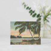ヴィンテージココナッツパームズトロピカルブリーズサンセット ポストカード (スタンド正面)