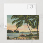 ヴィンテージココナッツパームズトロピカルブリーズサンセット ポストカード (正面/裏面)