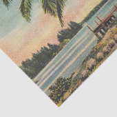 ヴィンテージココナッツパームズトロピカルブリーズサンセット 薄葉紙 (詳細)