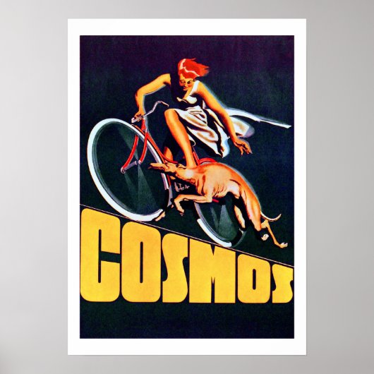 ヴィンテージコスモス自転車ポスター ポスター (正面)