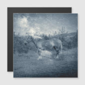 ヴィンテージコズミックシルバー銀河系コテージコアホース (正面/裏面)