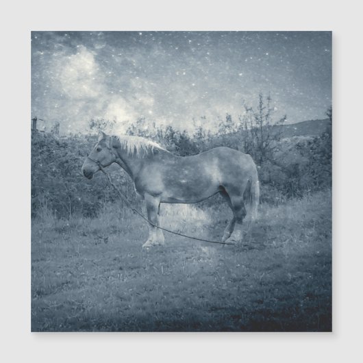 ヴィンテージコズミックシルバー銀河系コテージコアホース (正面)