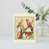 ヴィンテージコッカティエル ポストカード (スタンド正面)