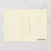 ヴィンテージコヌアとパラキーツ ポストカード (裏面)