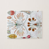 ヴィンテージコペポダ海動物バイエルンスト・ヘイケル ジグソーパズル (横)