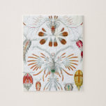 ヴィンテージコペポダ海動物バイエルンスト・ヘイケル ジグソーパズル<br><div class="desc">頑丈なダンボール素材パズル30個から1014個までの大きさ!
ヴィンテージイラストレーション海洋生命生物学デザインby Ernst Haeckel.この画像は、海洋や多くの淡水環境で見られる小さな甲殻類である様々な子脚動物を特徴としている。一部の種はプランクトニックであるが、一部は底生生物である。</div>