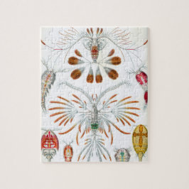 ヴィンテージコペポダ海動物バイエルンスト・ヘイケル ジグソーパズル