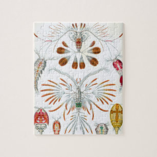 ヴィンテージコペポダ海動物バイエルンスト・ヘイケル ジグソーパズル