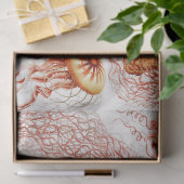 ヴィンテージコラージュのクラゲ模様のデカップージ 薄葉紙 (ギフト)